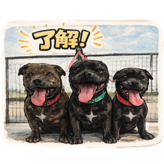 karin_20260126234942