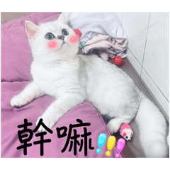 小湯圓日常用語3