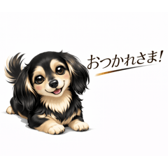 dog&nbsp; &nbsp; LOVE