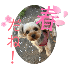 naganegi_20260126205430