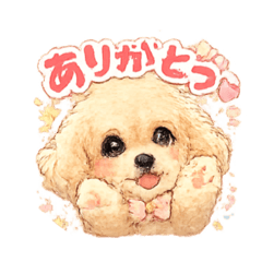 cherry_20260126205825