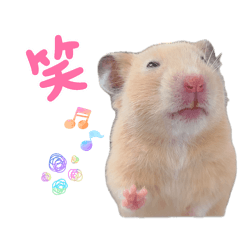 Kiseki_20260126210142