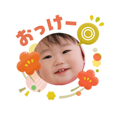 hasami_20260126221914