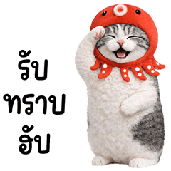 Cute cat Octopus head