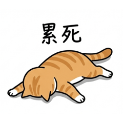 厭世橘貓 貓咪