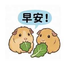 麵茶老楊哇哇