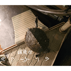 龜龜無聊