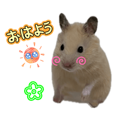 Kiseki_20260126203651