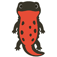 Chubby Fire-Bellied Newt Daily Stickers