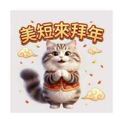 喵事如意：美短虎斑來拜年（超好用吉祥話）