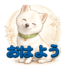 白柴シン子 & シンタ