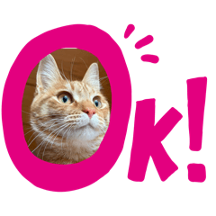 チャチャとナナのつぶやき