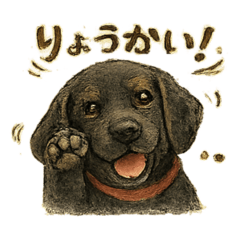 harun_20260127072925