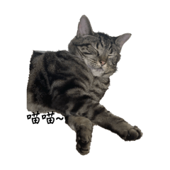 Pidan_20260125232241