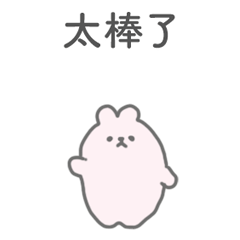 Rabbit Report Contact Consult TC