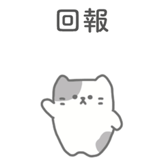 Cat Report Contact Consult TC