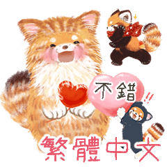 小熊猫 Pohe 日常/可愛的貓咪裝 / 愛心