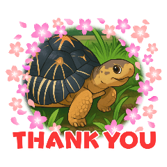 龜寶甘恩有禮貌