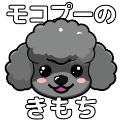 Moco Poodle Feelings:Black