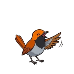 Lively Bird Stickers for Everyday Use