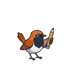 Study & Play: Bird's School Days