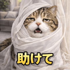 The cat meme is over