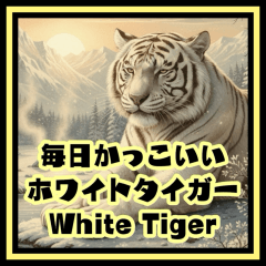 Cool White Tiger Every Day_Japanese