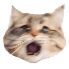 ブレてるセリフ無サイベリアンのヤマネコ17