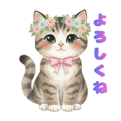 Cat`s Variety Pack MOKA