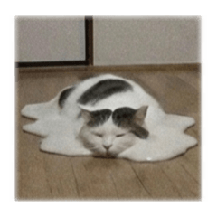 Low-res Emo Cats (No Words)