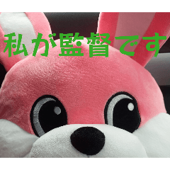 shinano_20260124213610