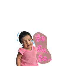 Numpan_20260127090356