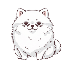 Lazy White Pomeranian