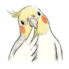 普段使いに・オカメインコのスタンプ