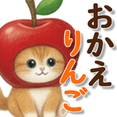 Cute Scottish Fold cat puns