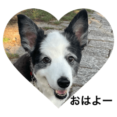 mayumayu_20260125195729