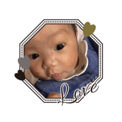 Shiroiwani_20260127084058