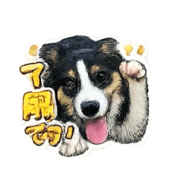 Naoki7070_20260127085103