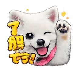 Naoki7070_20260127092623