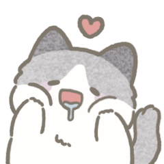 Ragdoll Midou | No Text