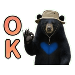 Ok blue heart bear