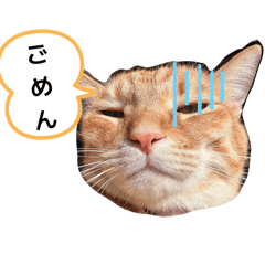 LALAN_20260127094524