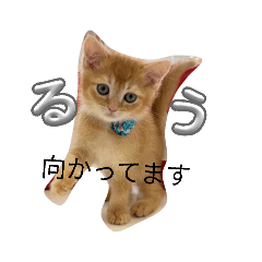 ikuko_20260127102126