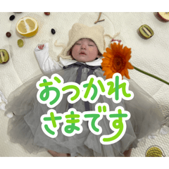 kami bokuro_20260127103916