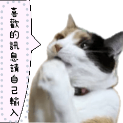 我家的可愛三花貓　訊息貼圖