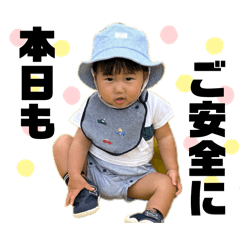 mamii_20260127131225