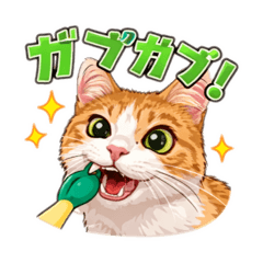 hikaru_20260127195808