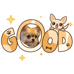 mugi_20260127112530