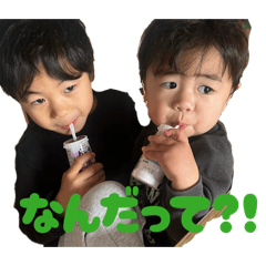 ka-ka_20260127141644