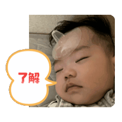 ijima_20260128002630